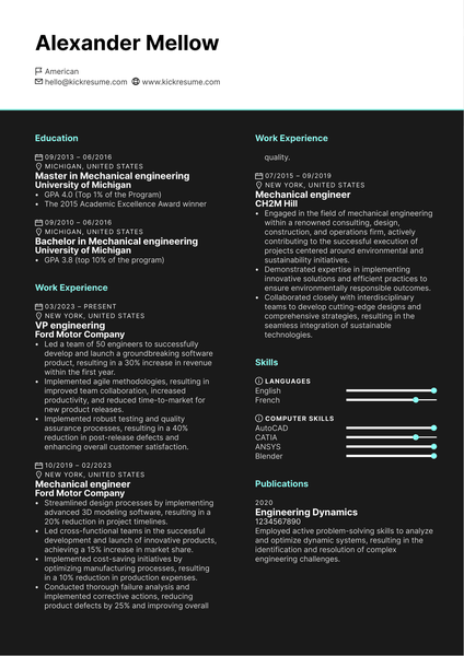 VP Engineering Resume Sample