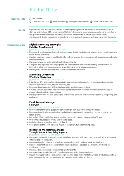 Marketing Strategist Resume Sample