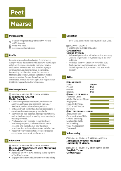 E-commerce Analyst Resume Sample