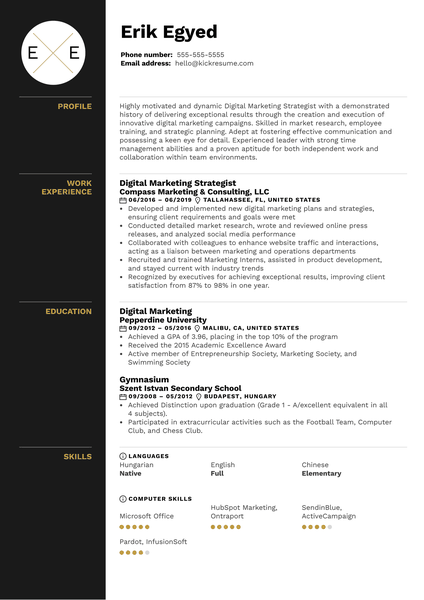 Digital Marketing Strategist Resume Sample