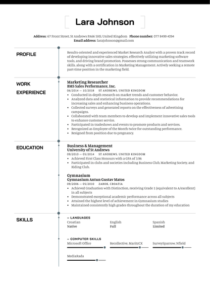 Stay At Home Mother Resume Example