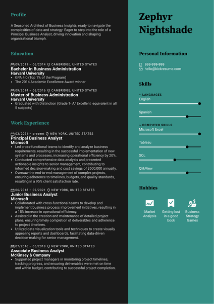 Principal Business Analyst Resume Sample