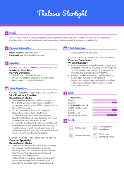 Vice President Creative Resume Sample