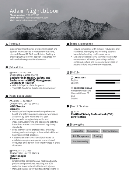 HSE Director Resume Sample