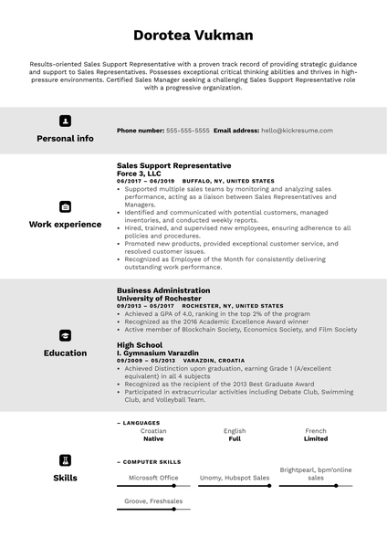 Sales Support Representative Resume Example