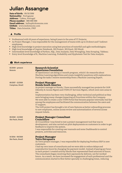 Senior Project Manager CV Example