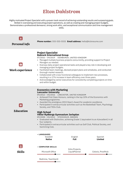 Project Specialist Resume Example