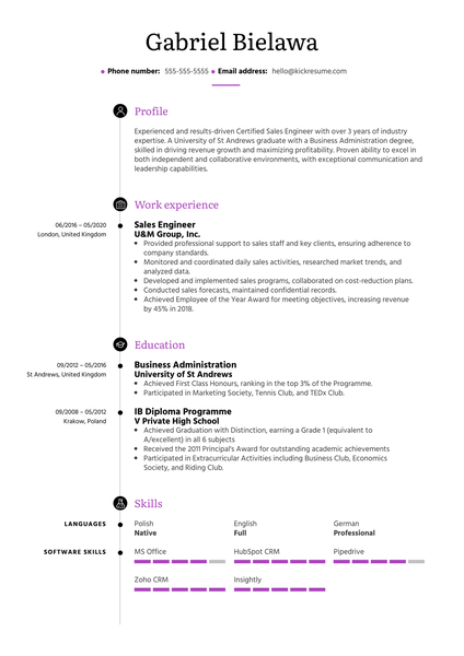 Sales Engineer Resume Example