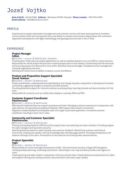 Several Project Manager CV Sample