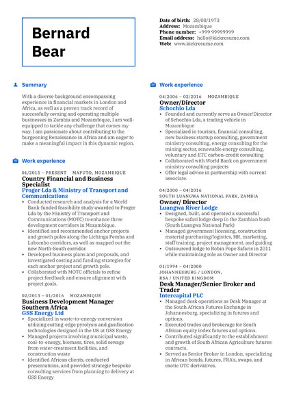 Business Specialist Resume Sample