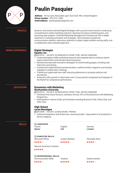 Digital Strategist Resume Example