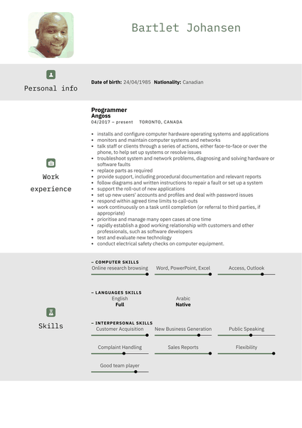 IBM IT Support Specialist Resume Example