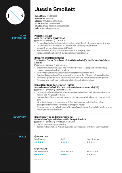 Project Manager Resume Sample