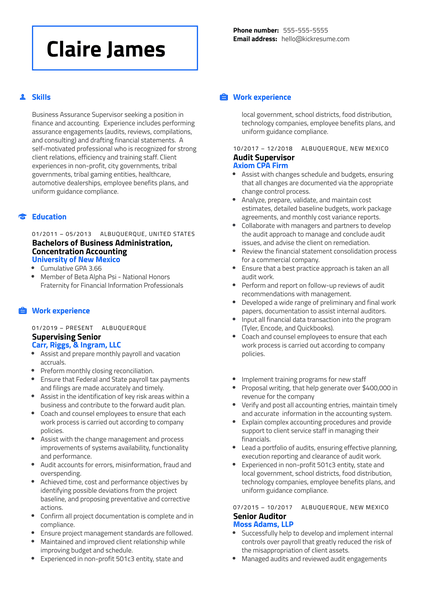 Controller at RiskSense Resume Sample