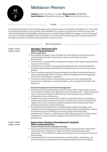 Sales Executive at Bell Communications Resume Sample