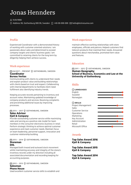 Maersk Business Partner CV Example