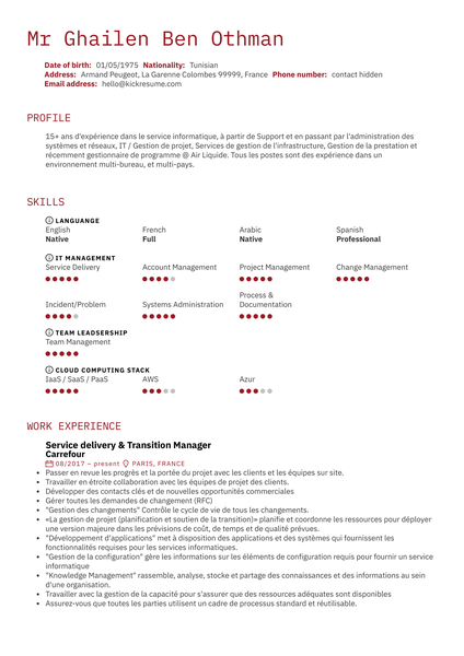 Carrefour Service Delivery Manager Resume Example