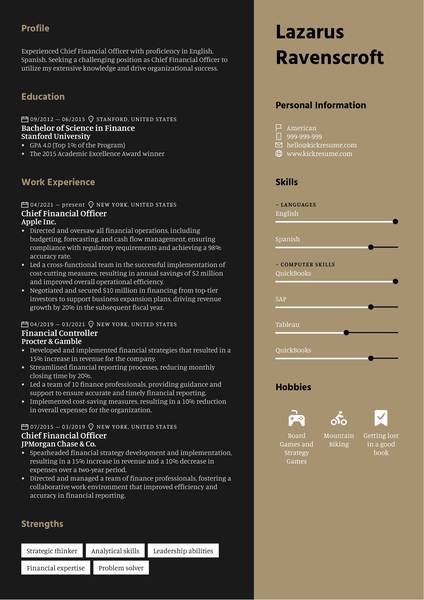 Chief Financial Officer Resume Sample