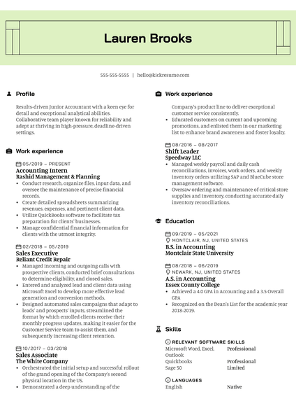 Cosmo Trading Junior Accountant Resume Example