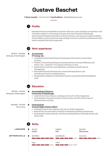 Professional Accountant Resume Sample