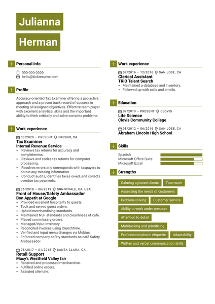 IRS Tax Examiner Resume Example