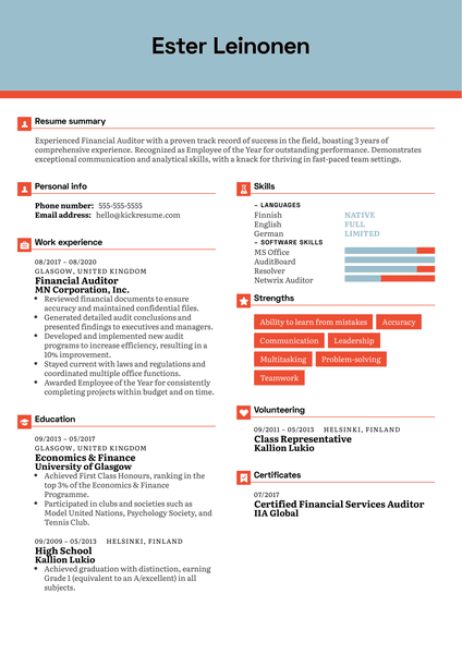 Financial Auditor Resume Example