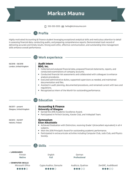 Audit Intern Resume Example