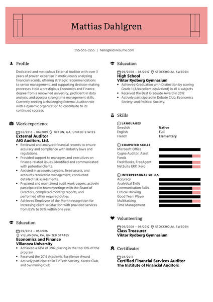 External Auditor Resume Example