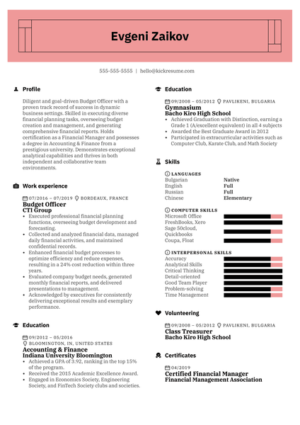 Budget Officer Resume Example