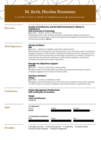 Domain Architect Resume Sample