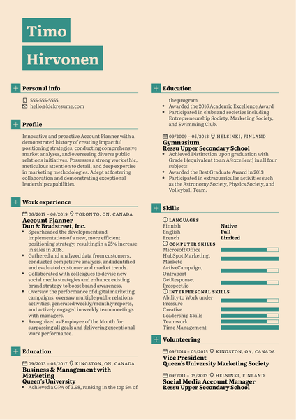 Account Planner Resume Example